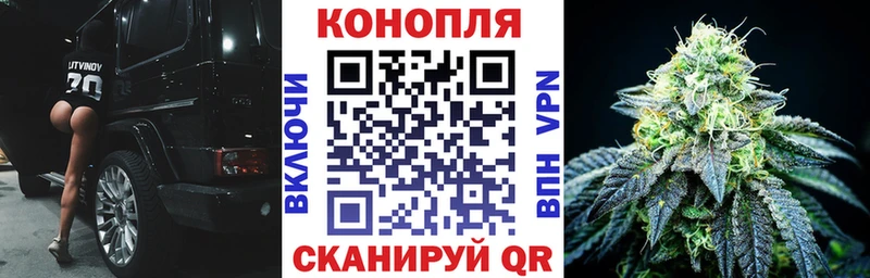Бошки Шишки VHQ  Ельня 